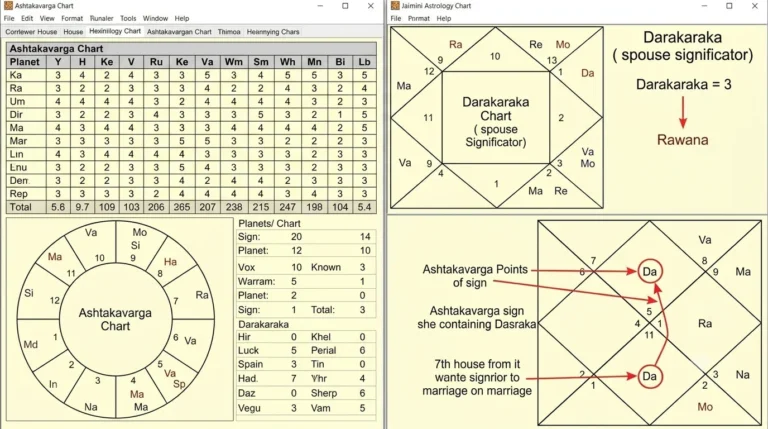 Ashtakavarga Chart